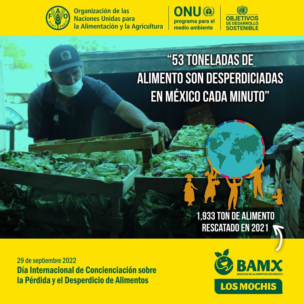 53 toneladas de alimento son desperdiciadas en México cada minuto 