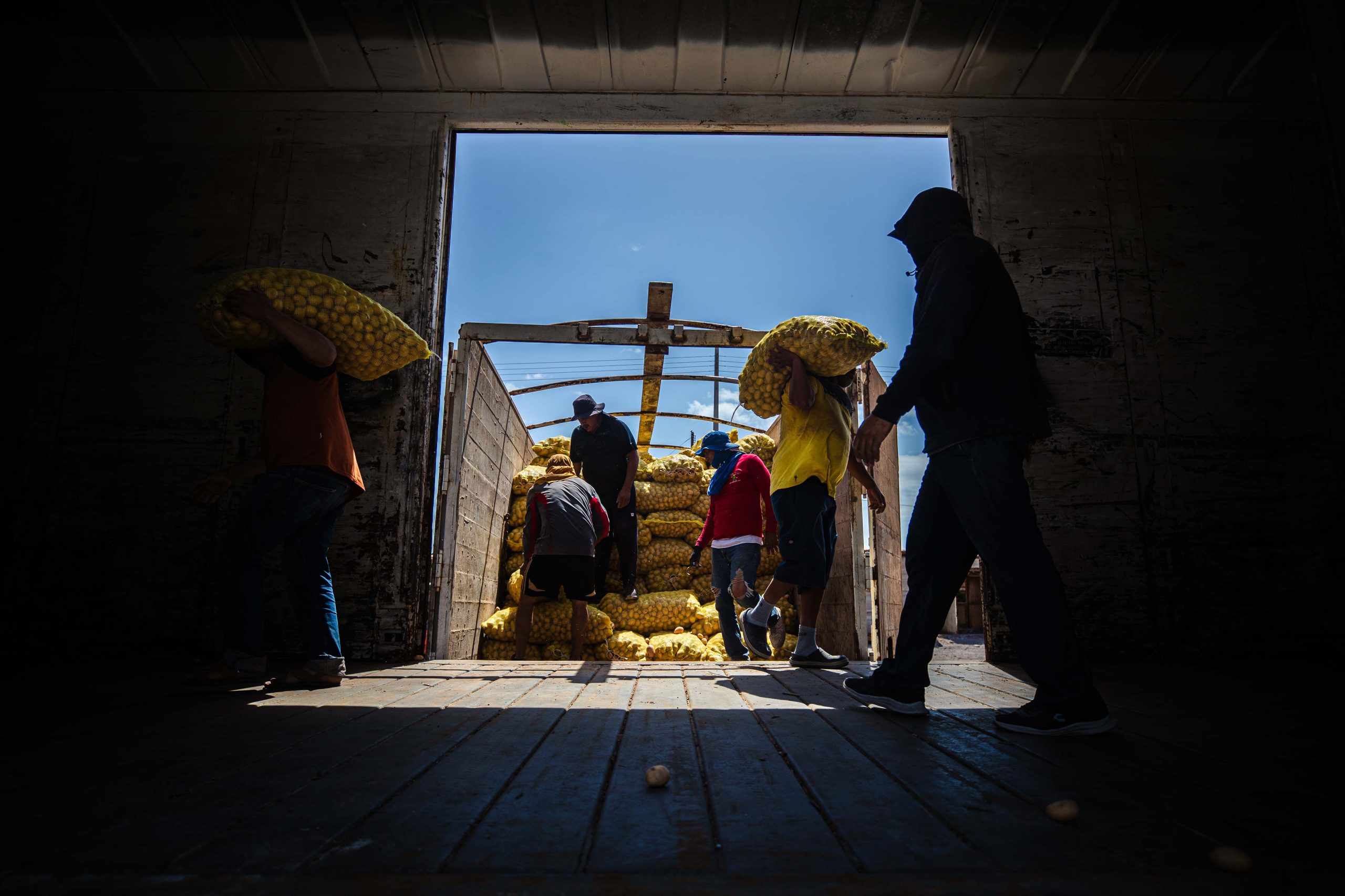 Los cargadores y voluntarios del banco de alimentos de Los Mochis descargando un trailer y cargandoosla un tren con papa de lla región.