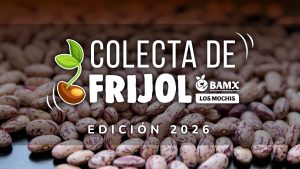 Colecta de Frijol Edición 2026, el texto sólo se muestra para efectos visuales