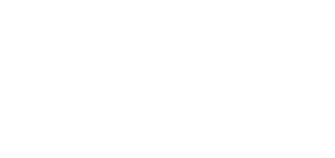 BAMX INFORME 2025